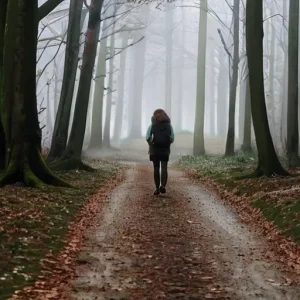 Почему спокойные прогулки наполняют смыслом